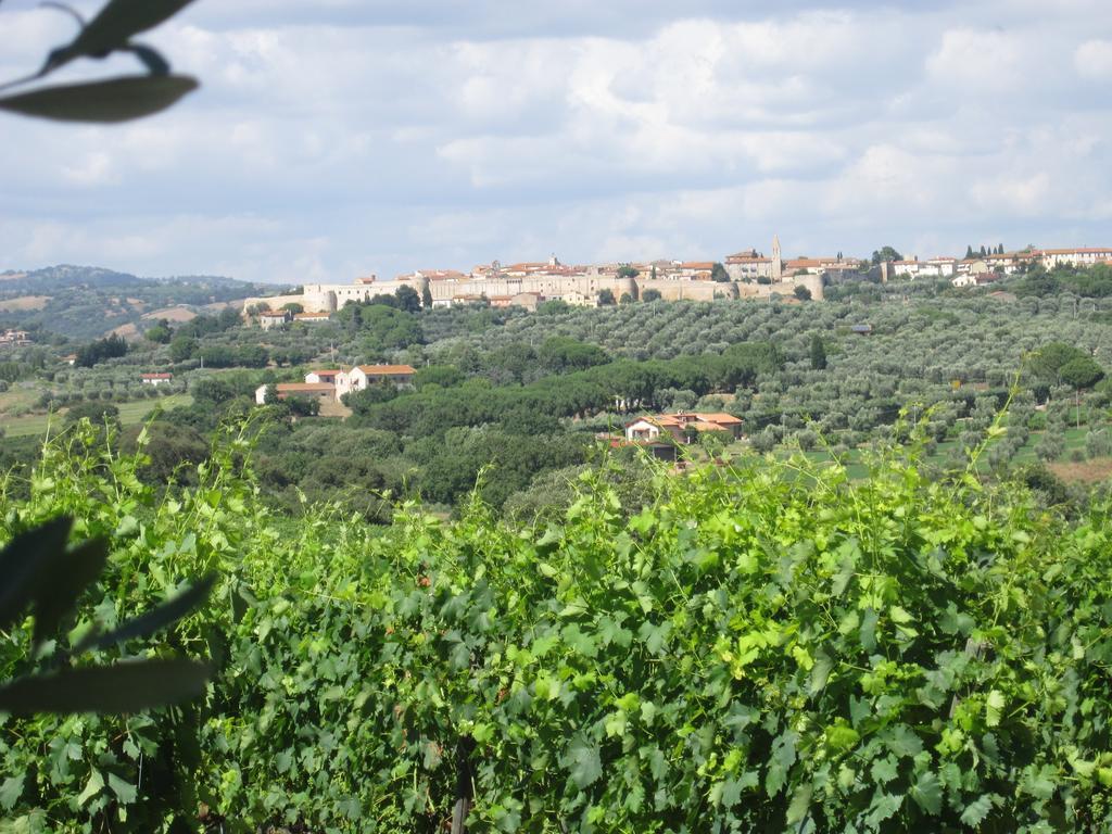 Agriturismo La Carlina Villa Magliano in Toscana Dış mekan fotoğraf