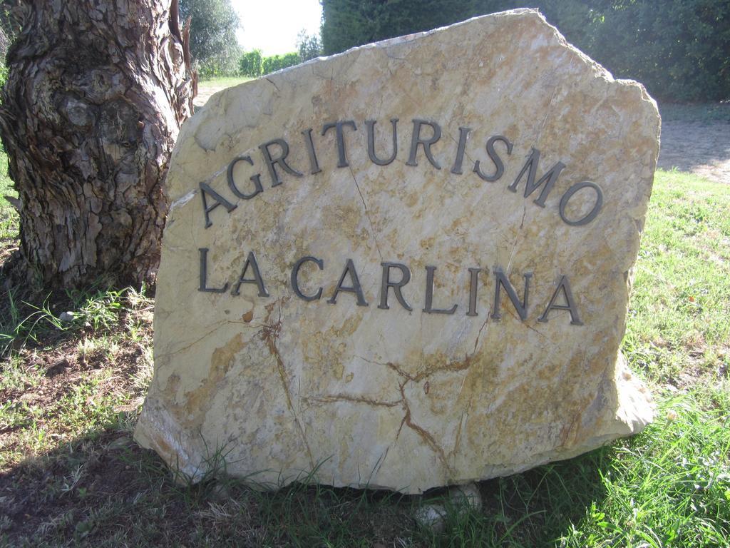 Agriturismo La Carlina Villa Magliano in Toscana Dış mekan fotoğraf