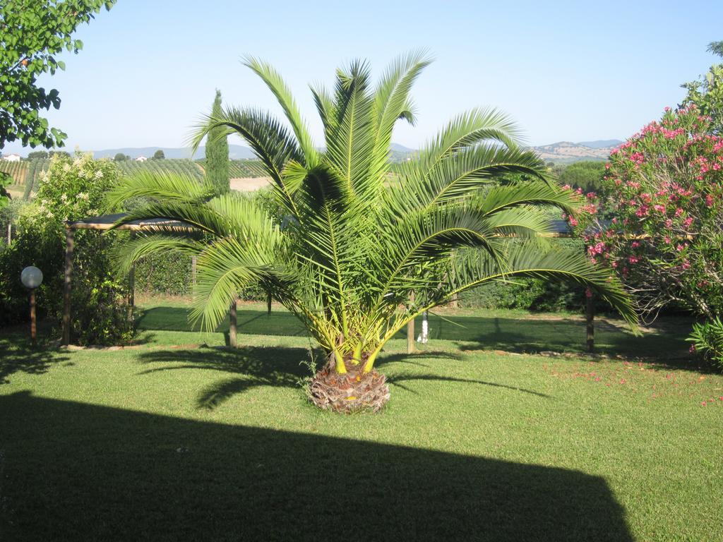 Agriturismo La Carlina Villa Magliano in Toscana Dış mekan fotoğraf